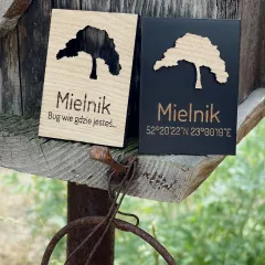 Mielnik - magnes drewniany "Mielnicka Sosna" 2w1