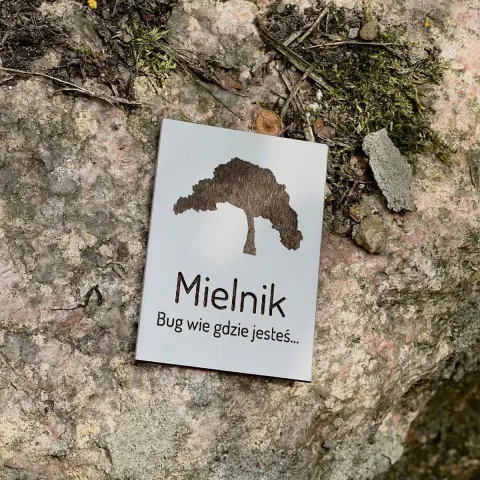 Mielnik - magnes drewniany szary lipowy "Mielnicka Sosna"