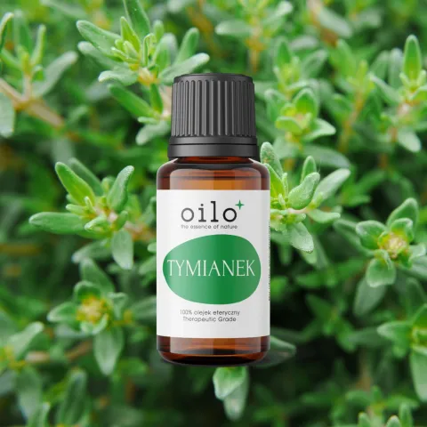Olejek tymiankowy Oilo Bio 5 ml, Thymus vulgaris, aromaterapia